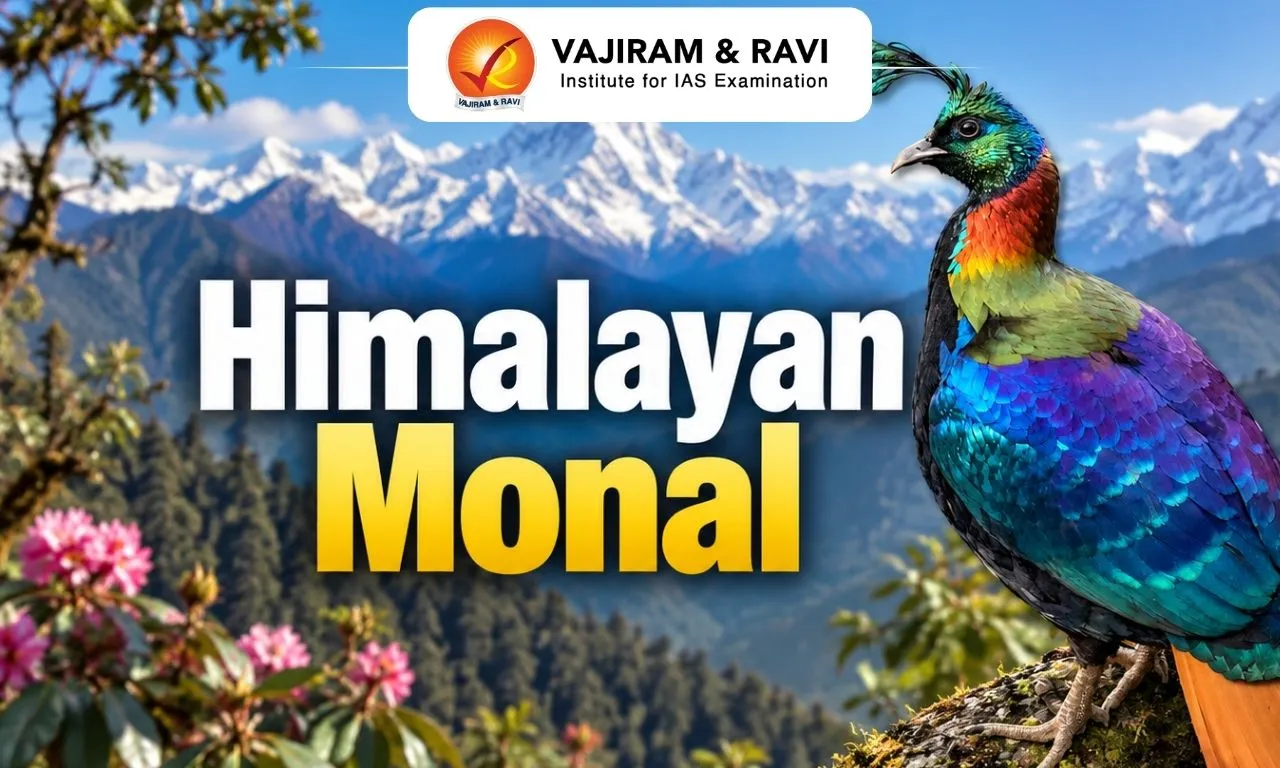 Himalayan Monal
