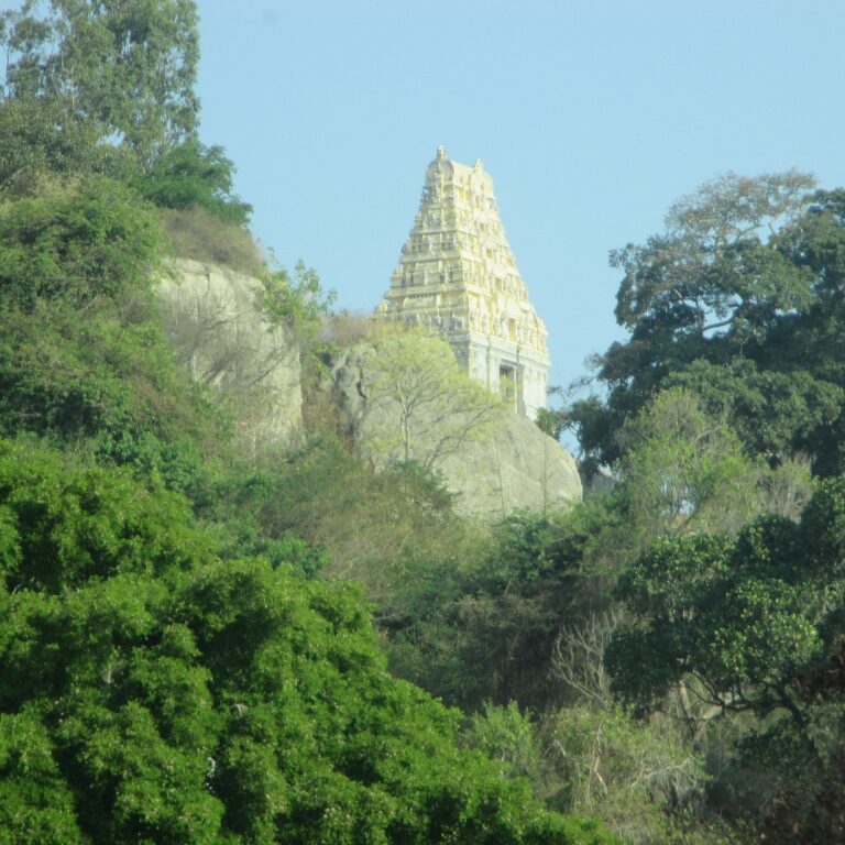 Biligiri Ranganatha Swamy Temple (BRT) Tiger Reserve