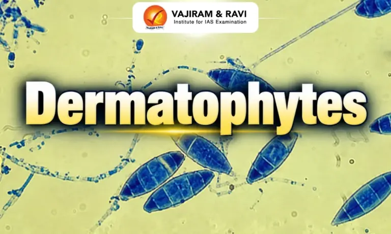 Dermatophytes