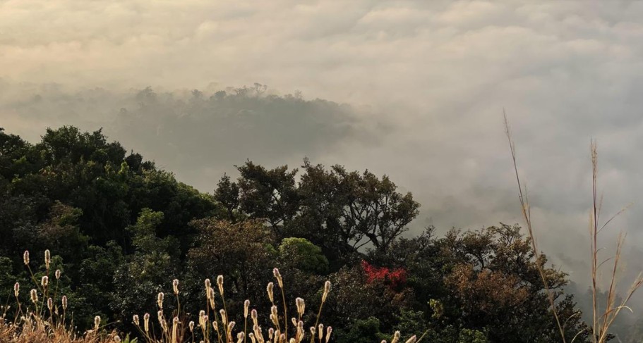Understanding Karnataka's Objection to the Western Ghats ESA