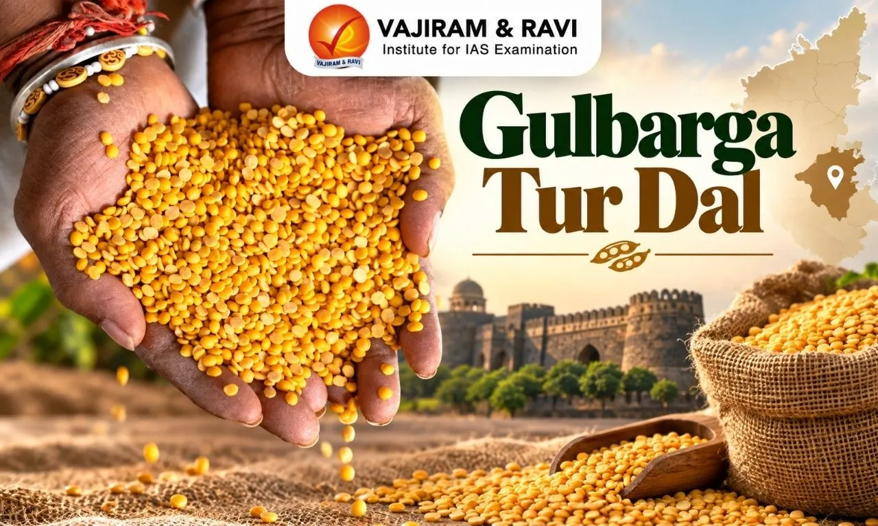 Gulbarga Tur Dal
