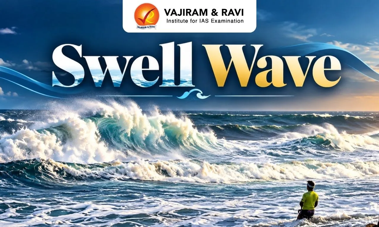 Swell Wave