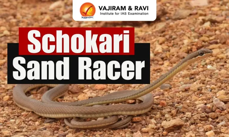Schokari Sand Racer