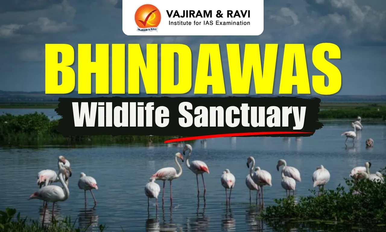 Bhindawas Wildlife Sanctuary