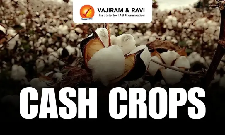 Cash Crops