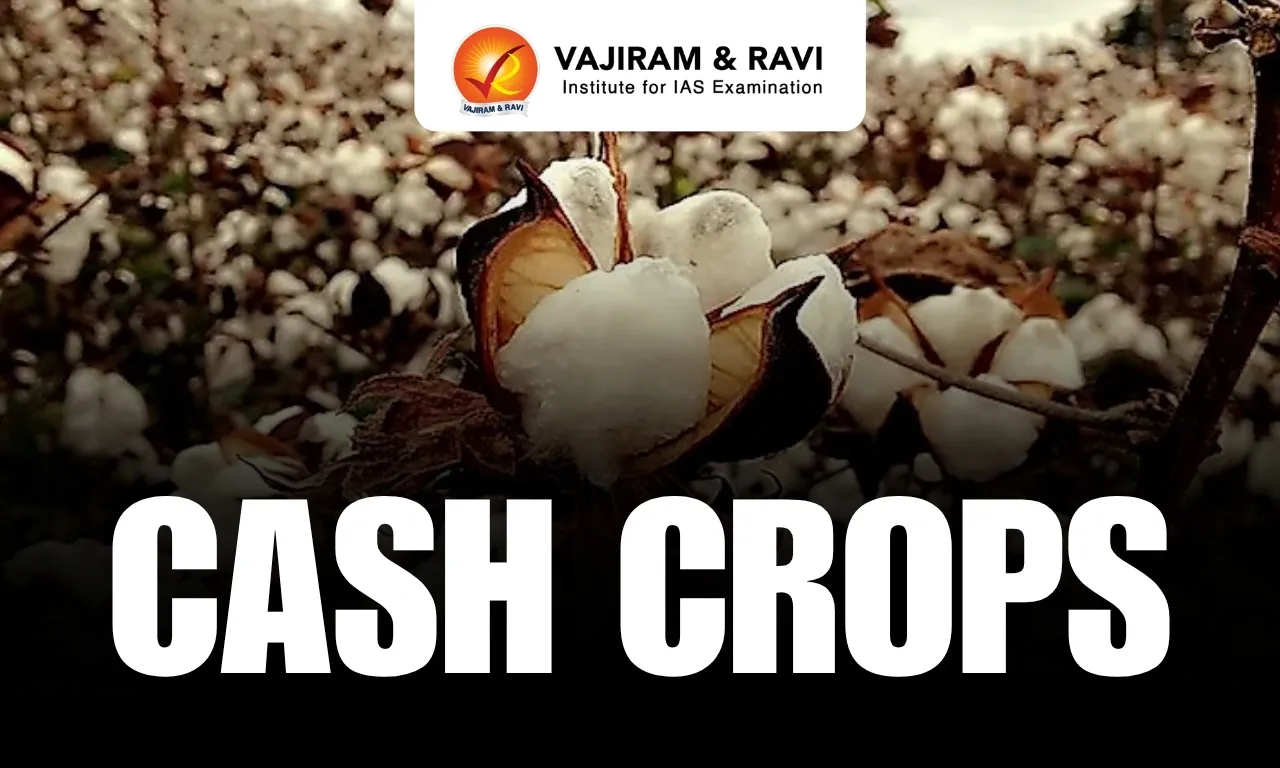 Cash Crops