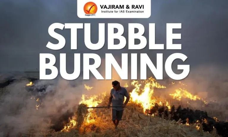 Stubble Burning in India