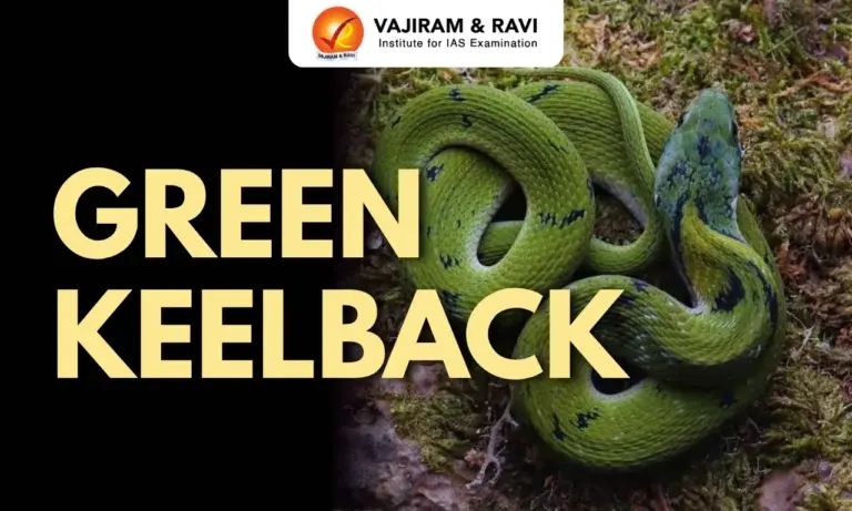 Green Keelback