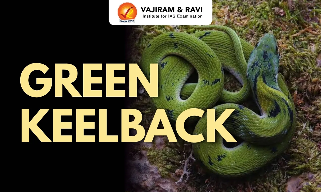 Green Keelback