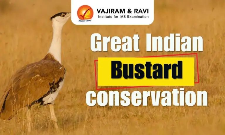 Great Indian Bustard conservation