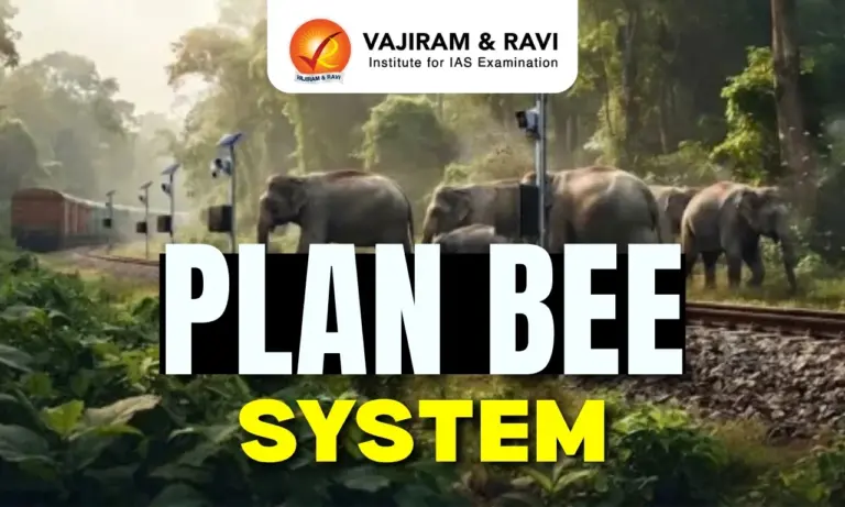 Plan Bee System