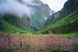 Nanda Devi Biosphere Reserve