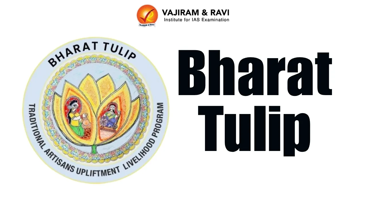 Bharat Tulip