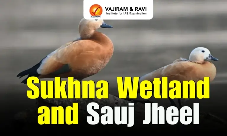 Sukhna Wetland and Sauj Jheel