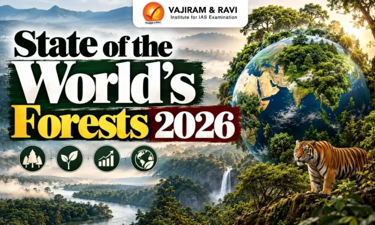 State of the World’s Forests 2026