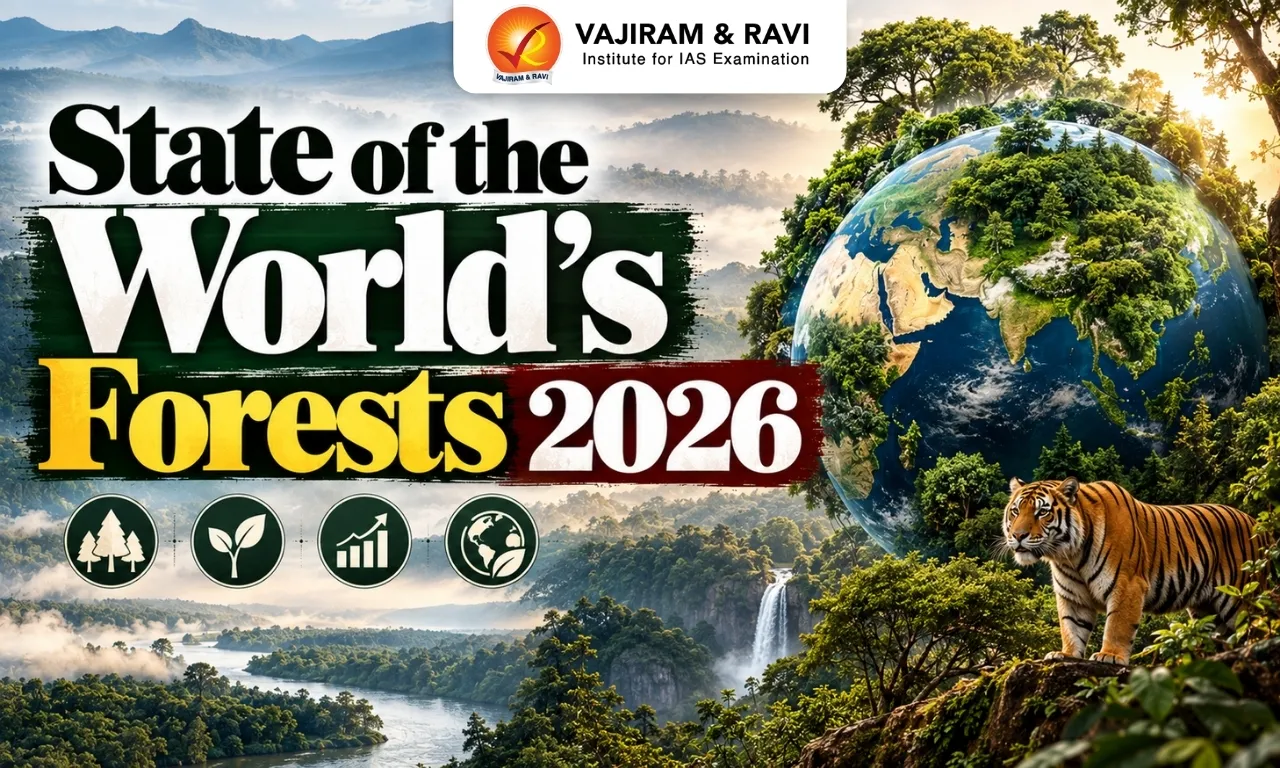 State of the World’s Forests 2026