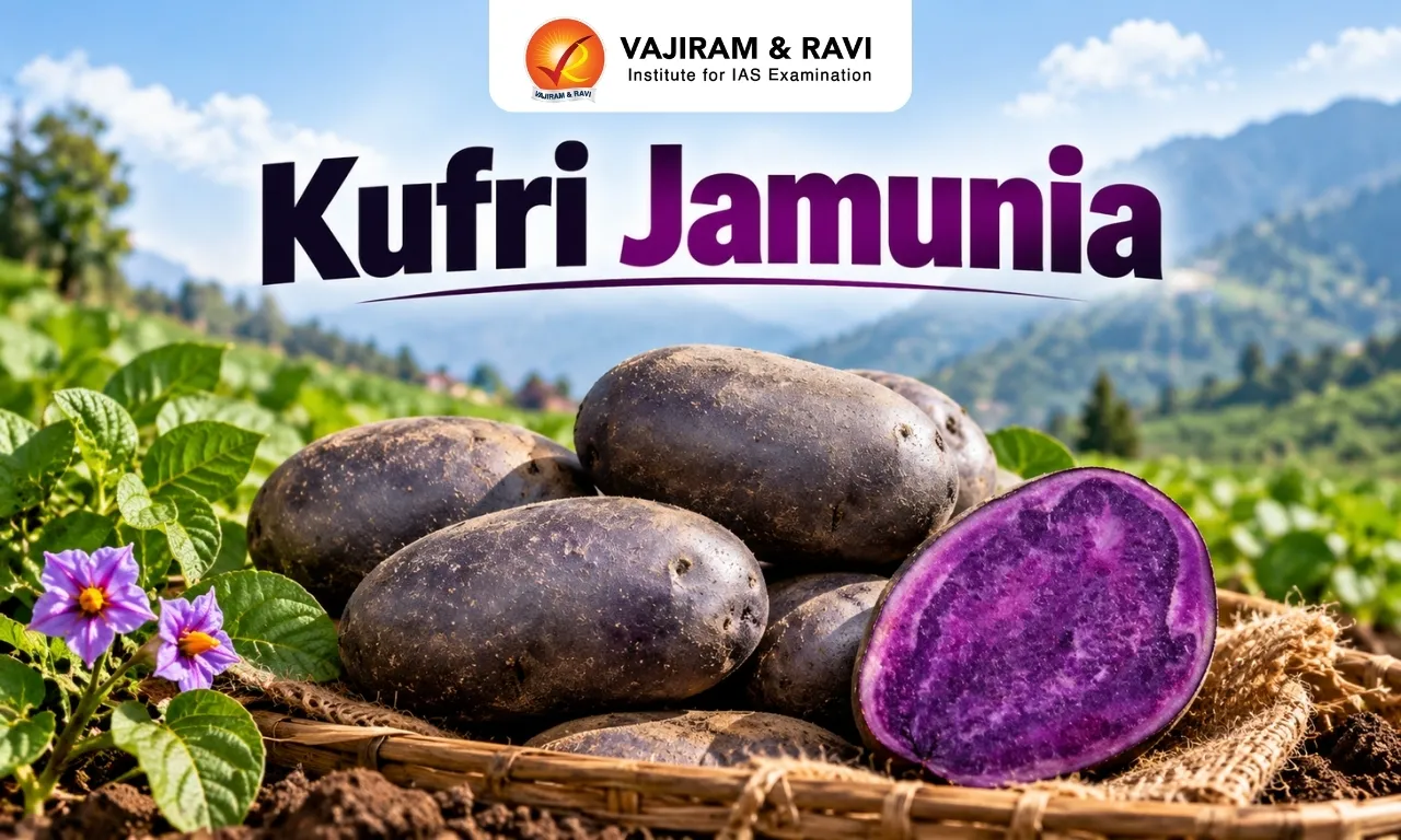 Kufri Jamunia