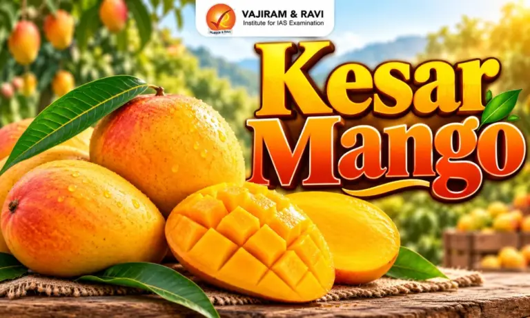 Kesar Mango
