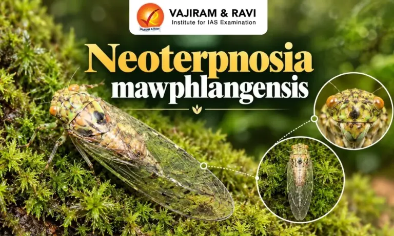 Neoterpnosia mawphlangensis