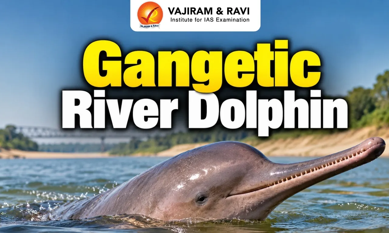 Gangetic River Dolphin