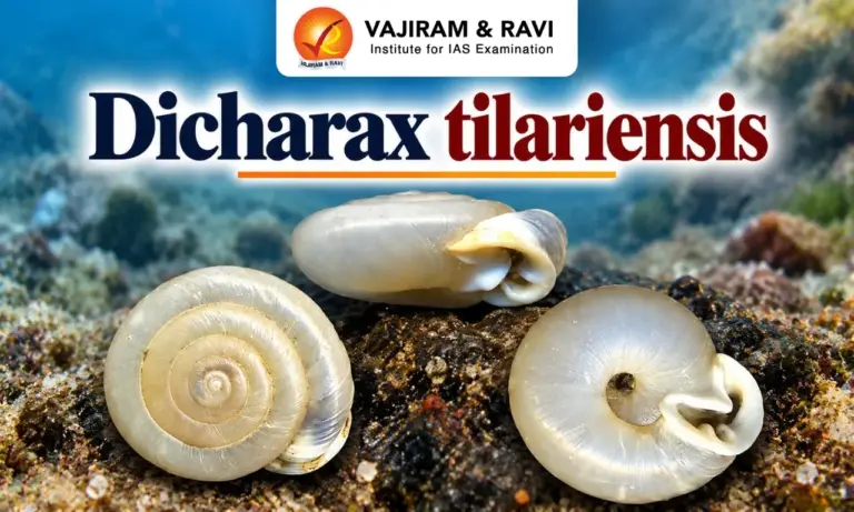 Dicharax tilariensis
