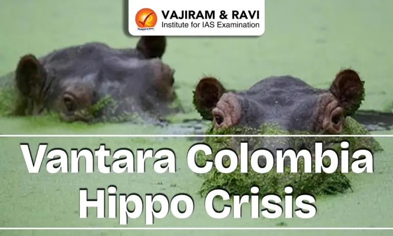 Vantara Colombia Hippo Crisis