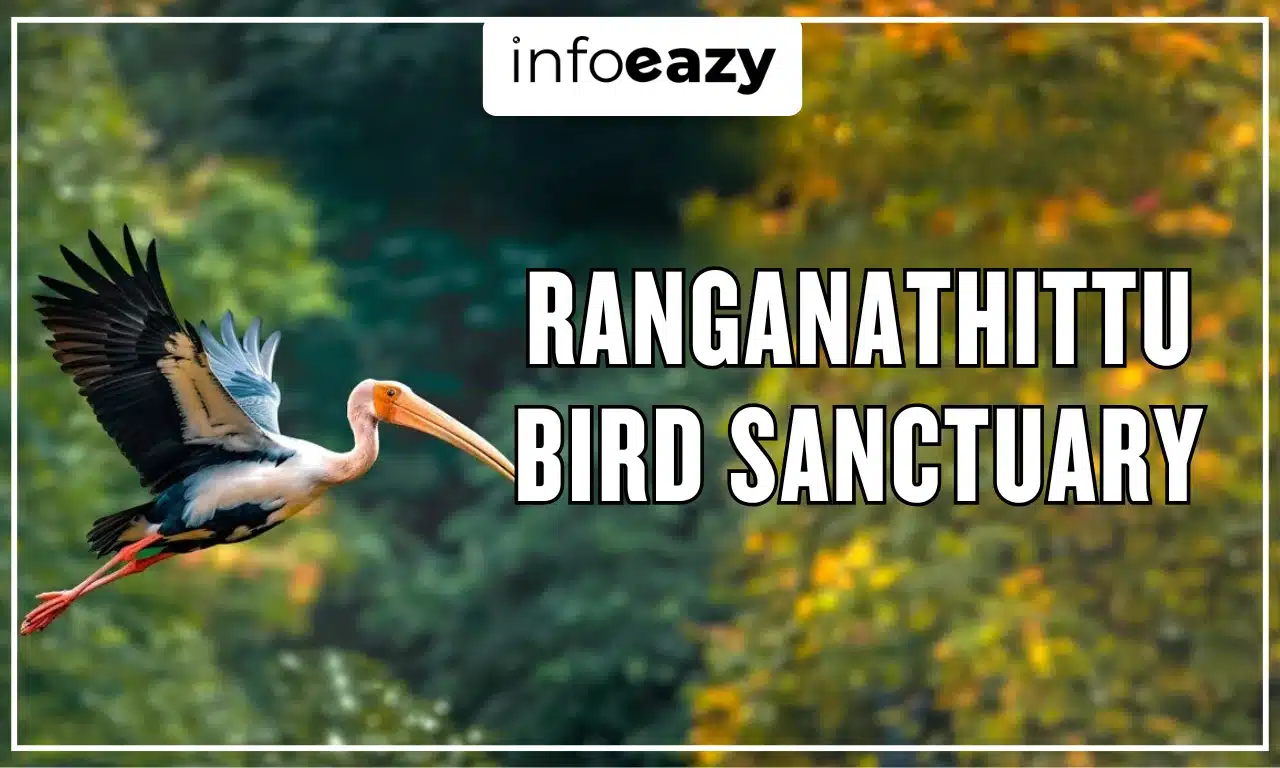 Ranganathittu Bird Sanctuary