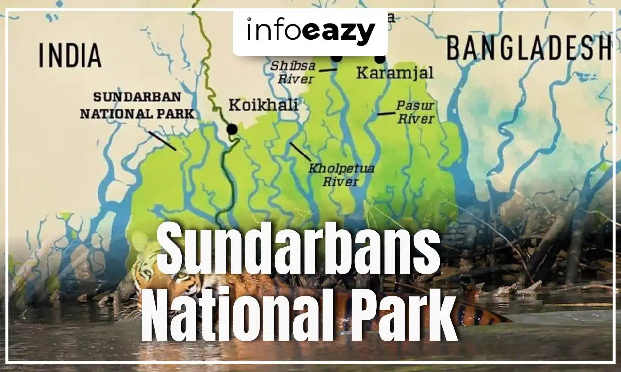 Sundarbans National Park