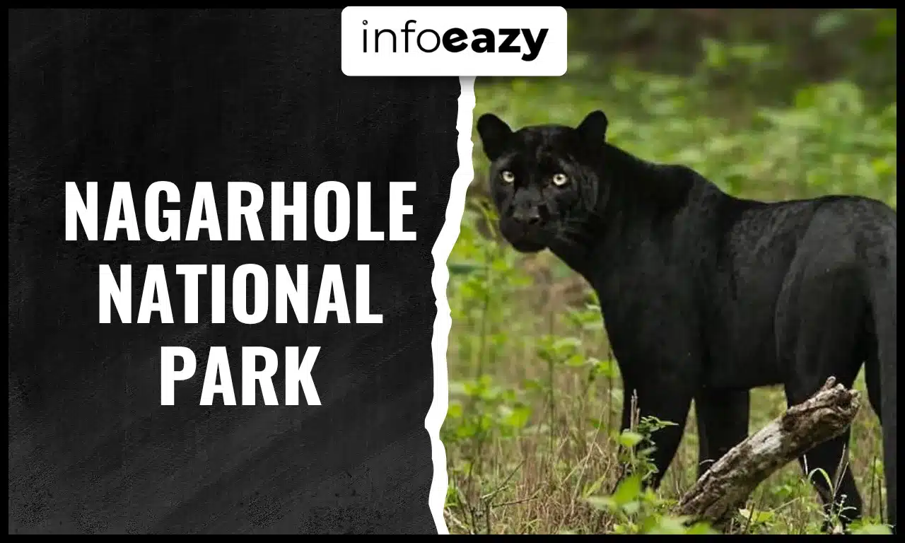 Nagarhole National Park