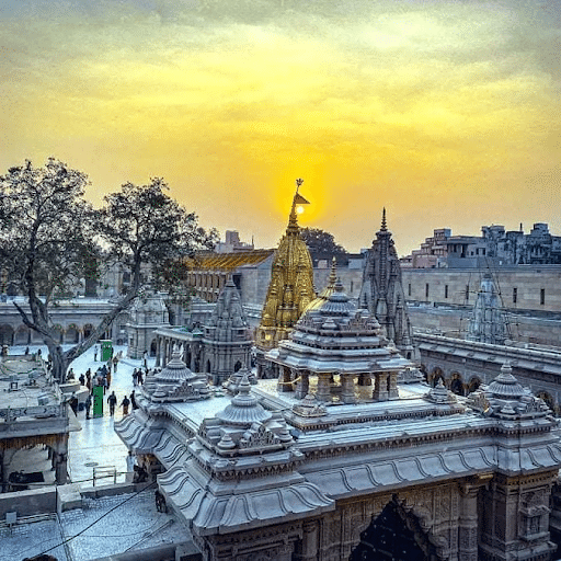 Kashi