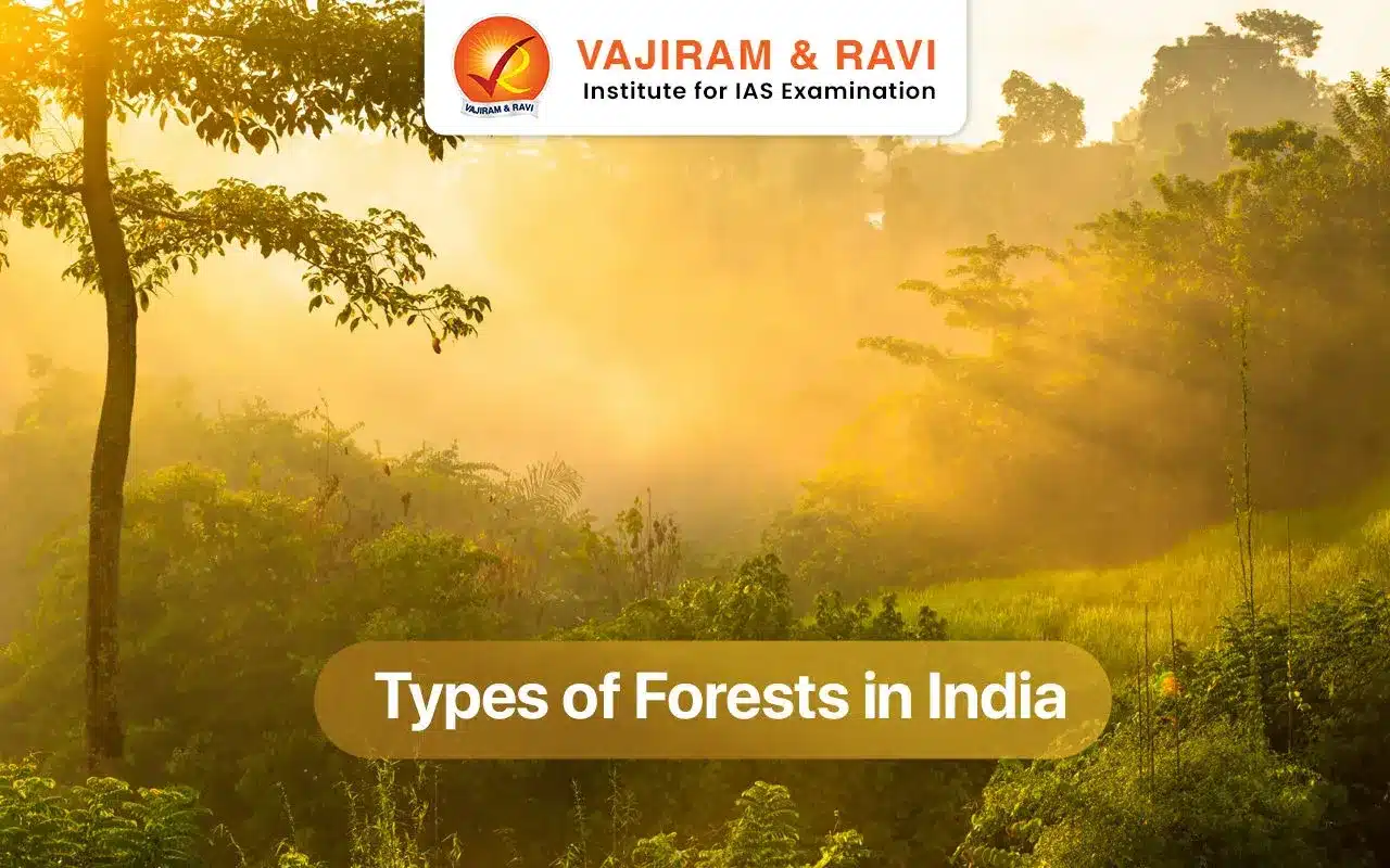 Types of Forest in India