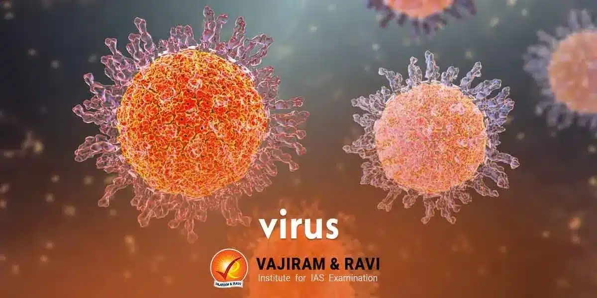 Virus