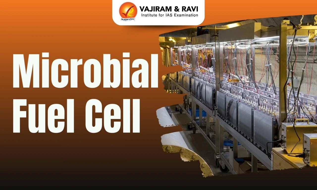 Microbial Fuel Cell