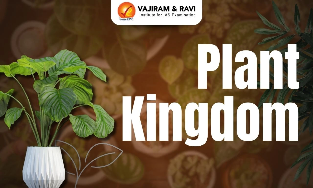 Plant Kingdom