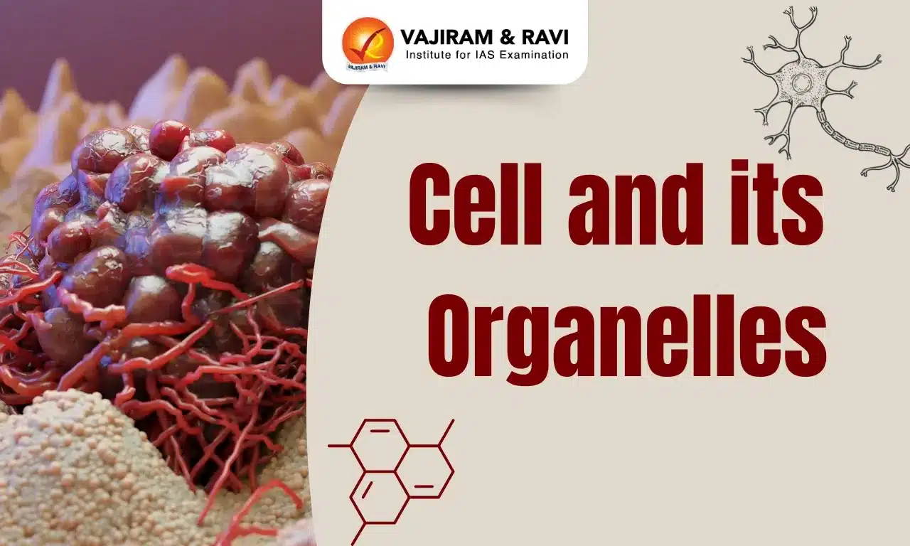 Cell and its Organelles