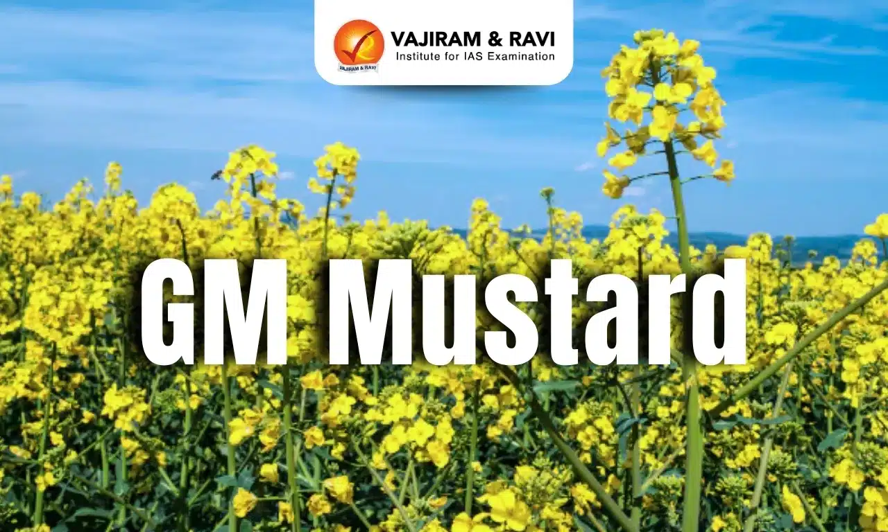 GM Mustard