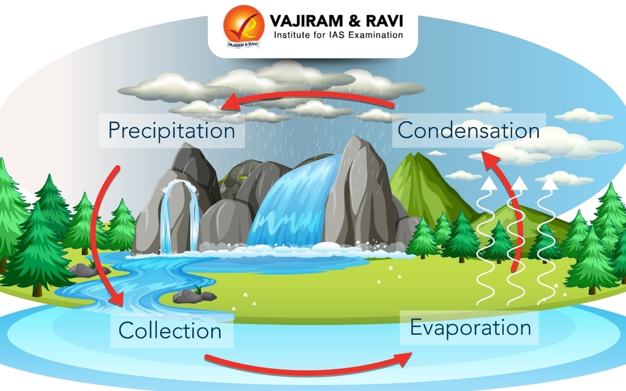 Hydrological Cycle