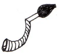 Tarpa