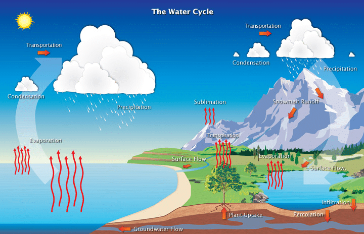 Water Cycle Diagram