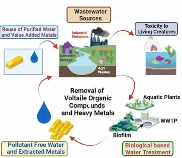 Biofiltration