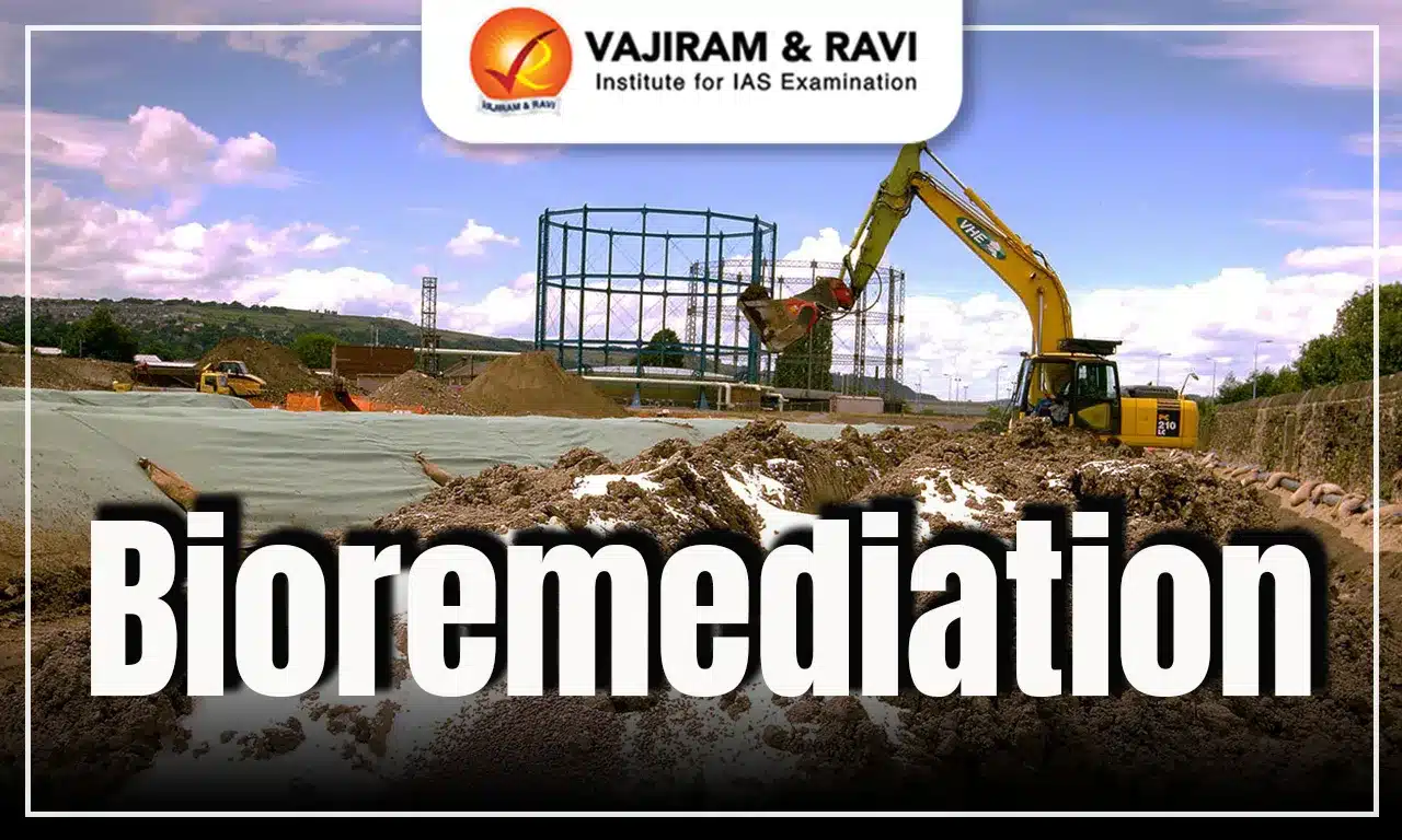 Bioremediation