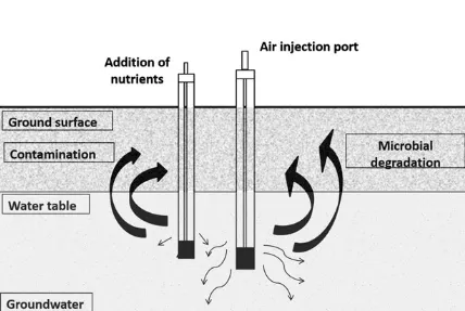Biosparging