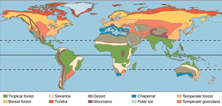 Land Biomes