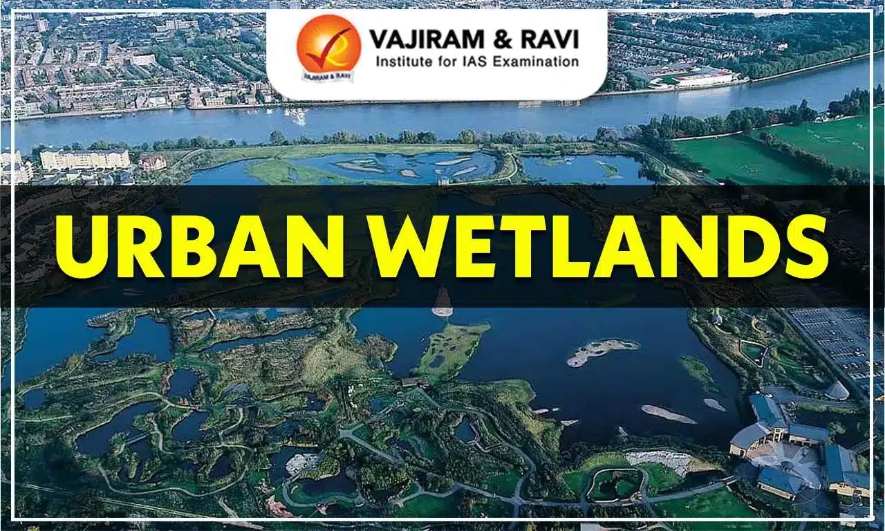 Urban Wetlands