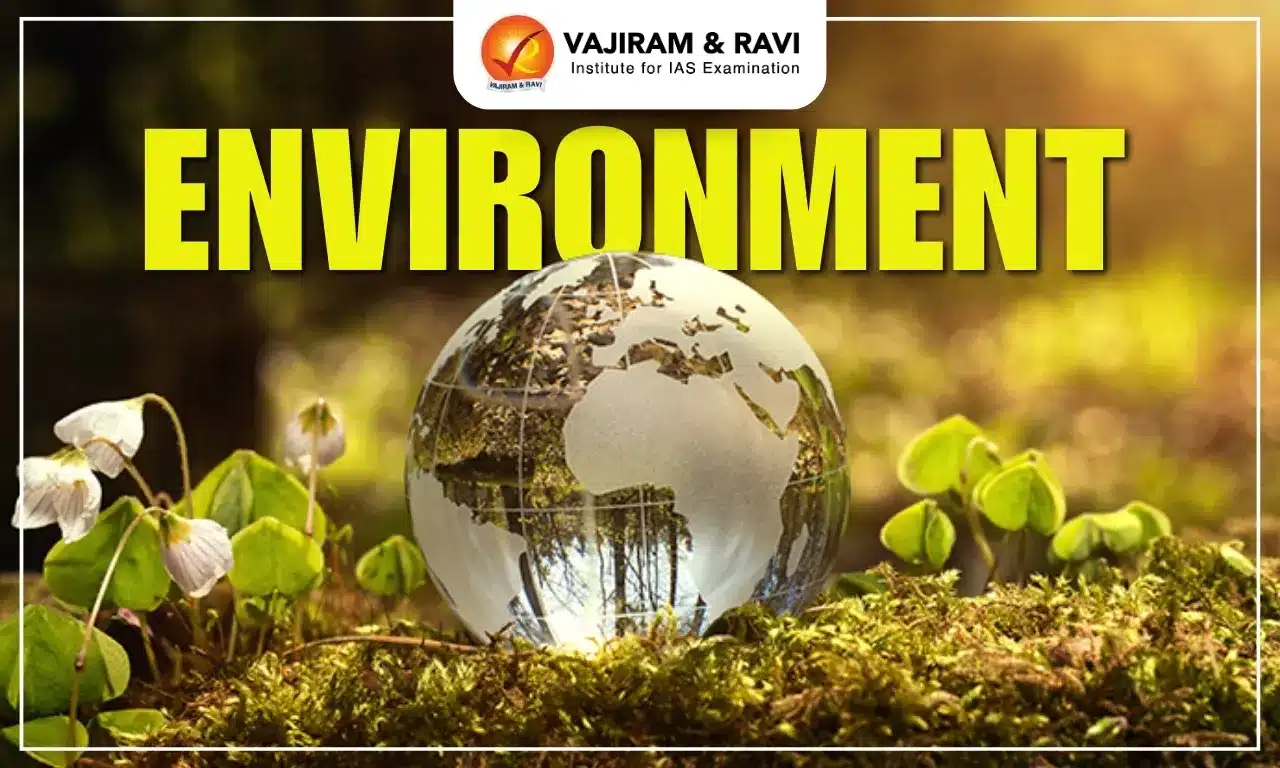 Environment