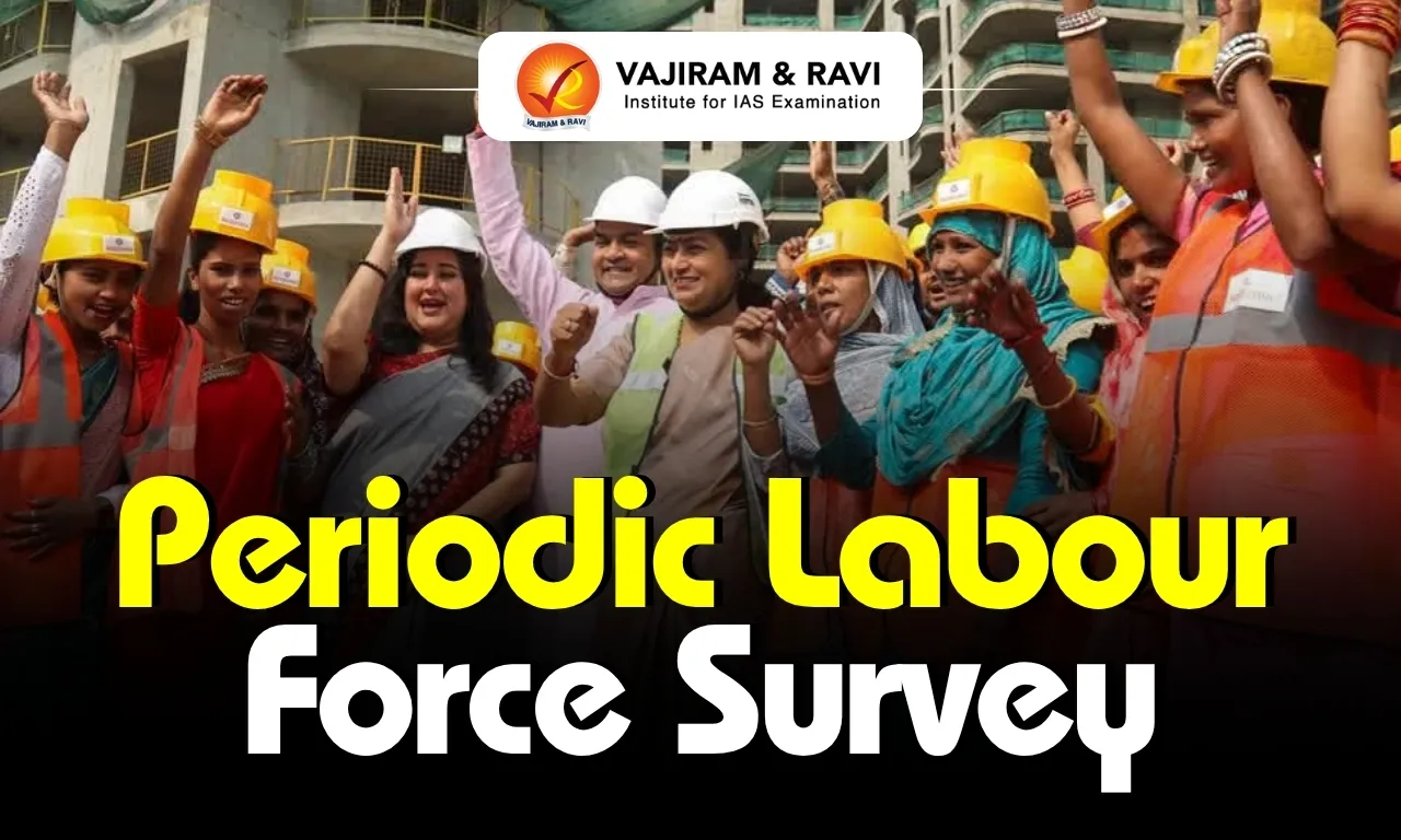 Periodic Labour Force Survey