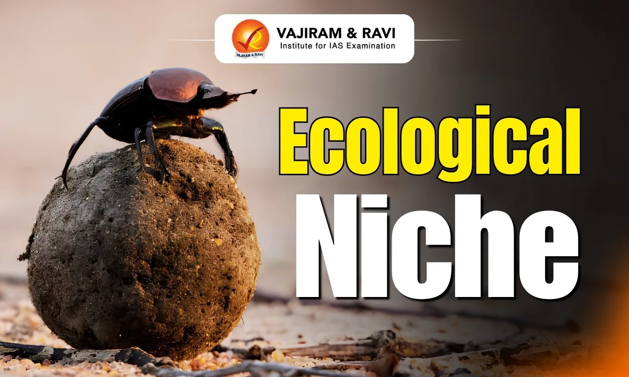 Ecological Niche