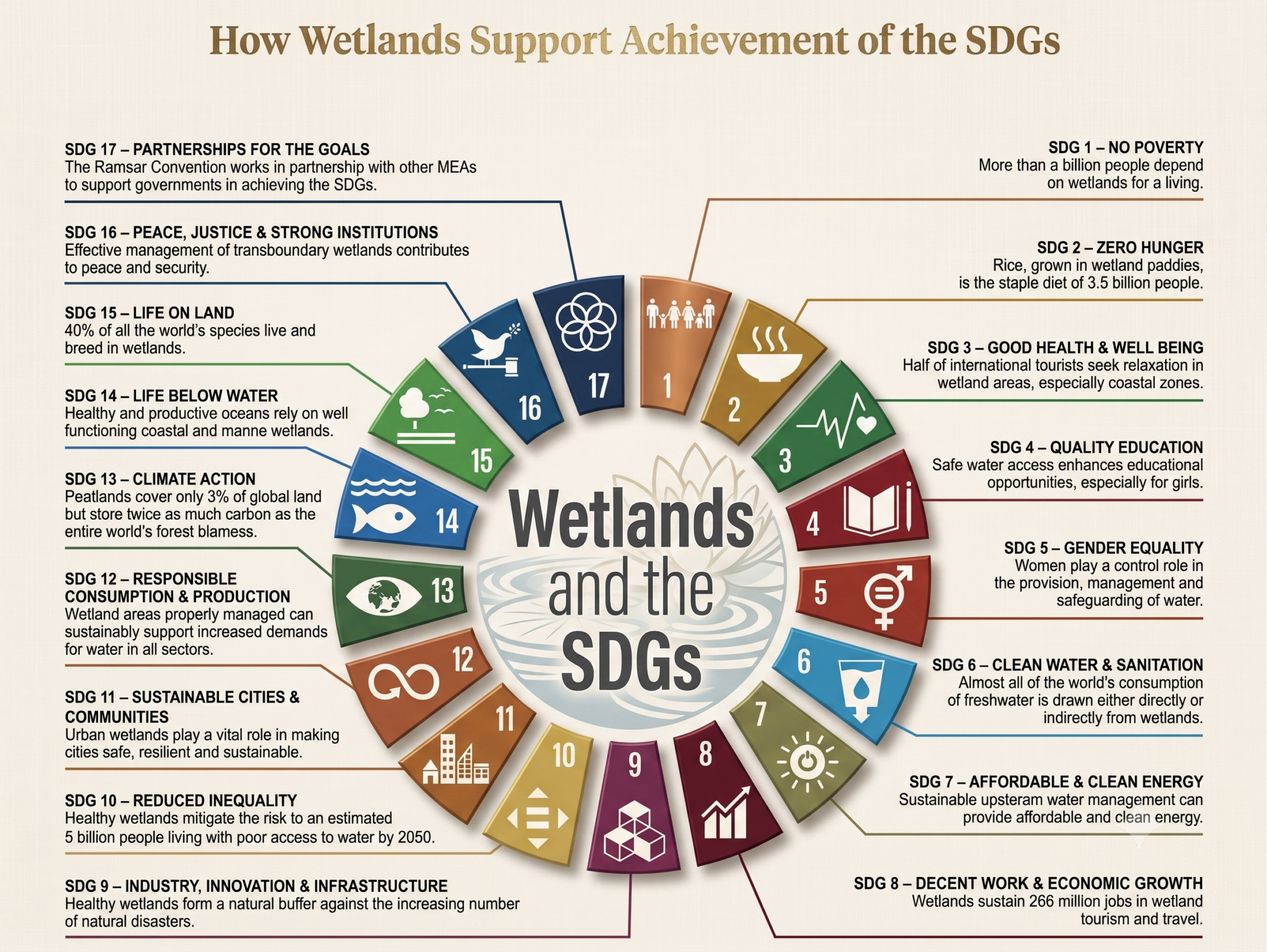 Wetlands and SDGs
