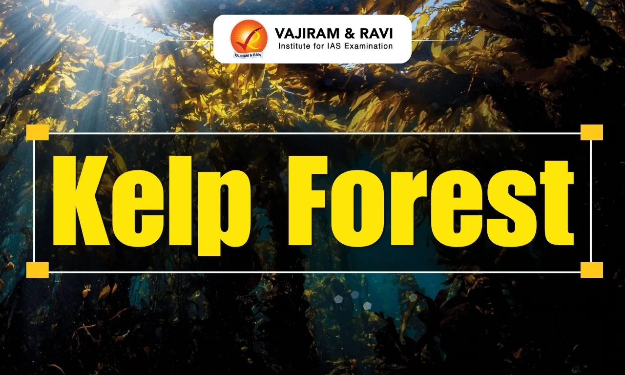 Kelp Forest