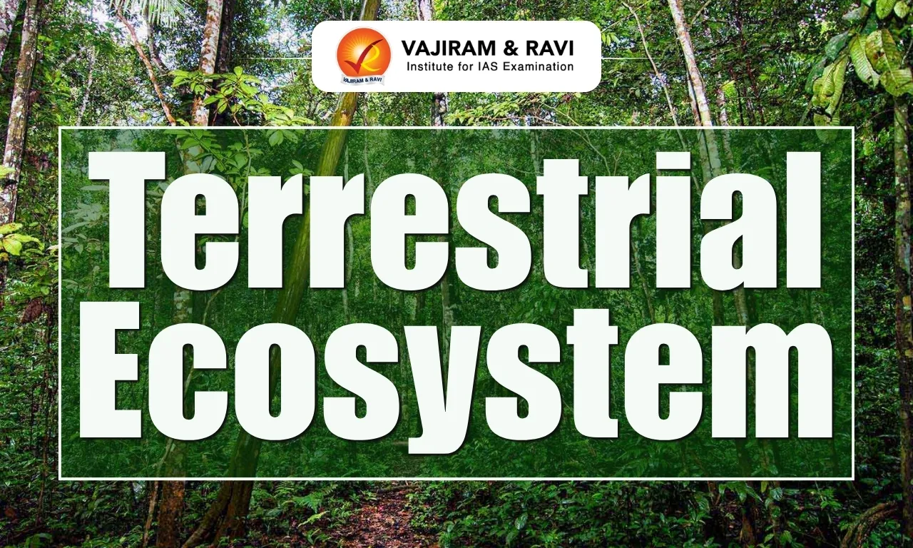 Terrestrial Ecosystem